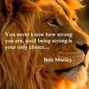 I share a space with cat.  She is very clean.